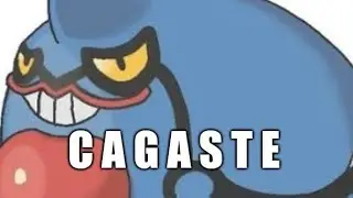 SAPO CONCHETUMARE