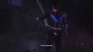 Harley VS Nightwing