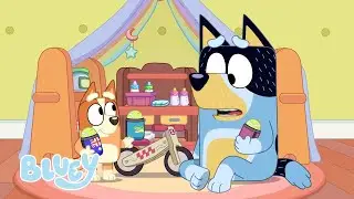 Momentos emocionantes con Bluey y Bingo | Bluey Español Canal Oficial