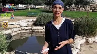 גן מייסדי העיר