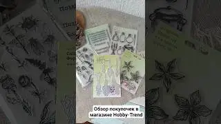 Небольшой обзор покупочек в магазине Hobby Trend