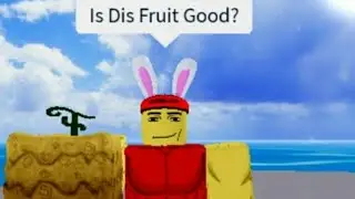 ROBLOX Blox Fruits Experience
