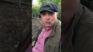 Анекдот про слепого мужика 😂