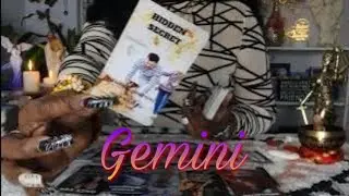 Gemini♊No Contact, 