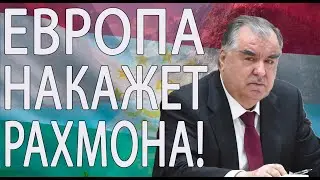 Представители ЕС на встрече с делегацией Таджикистана затронули вопрос преследования блогеров