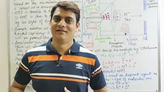 Part 12: Mass Spectrometry - APPI | Atmospheric Pressure Photoionization Technique