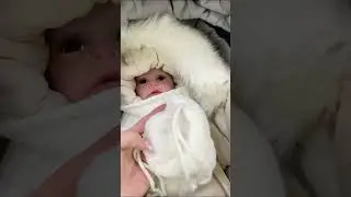 Комплект на выписку 4в1