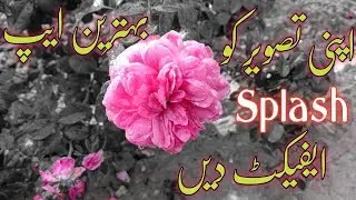 Easily Get Color Splash Effect on Android | 2019 | Javed Tech Roots
