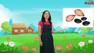 Science Episode 7: PARTS OF A PLANT| FILIPINO | Preschool Lessons| Fun Learning