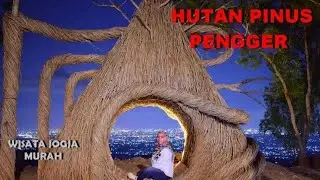Hutan Pinus Pengger Tempat Wisata Malam di Jogja Dengan Spot-spot Foto Yang Instagramable