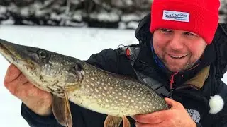 Рыбалка на Москва Реке в Феврале. Душевный выезд!!!