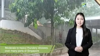 Fortnightly Weather Outlook - 1 to 15 Dec 2020