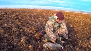 3 HARES IN 40 MINUTES!!! HARE HUNT!!!