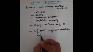 Cellular differentiation