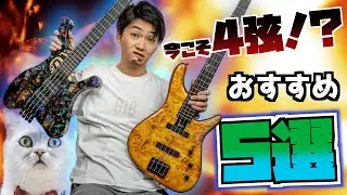 多弦全盛期の今、あえて選びたいモダン4弦ベース5選