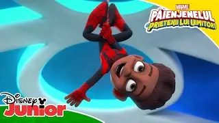 Formarea echipei | Păienjenelul Marvel și prietenii lui uimitori | Disney Junior România