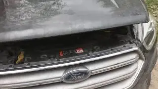 Упоры капота Rival на Kuga 2018 за 1090 рублей
