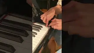 Most piano key hits in 30 seconds! 