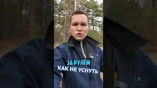 Почему кофе за рулем может быть СМЕРТЕЛЬНО опасным?