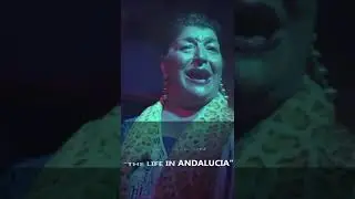 My Andalucia Shorter Short Film Competition 2024
