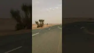 Крутая локация для фото в Дубае.