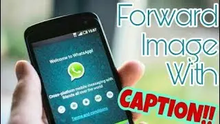 How To Forward WhatsApp Image WITH CAPTION | EXECUTABLES