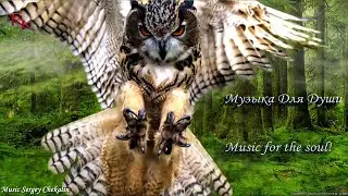 Music Sergey Chekalin! A collection of the BEST Melodies from which goosebumps! music 2023 Птицы