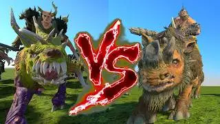 Rot Knights VS Crushers (Ironfists). Total War Warhammer 3