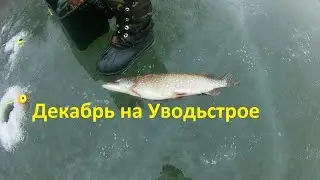 Ловим рыбу на Уводьстрое.