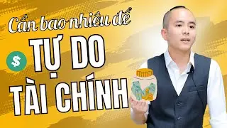 Không phải 300 tỷ: Đây mới là số tiền để bạn tự do tài chính | Master Anh Đức
