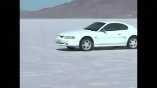 Two Mustangs + The Salt Flats = Great Times