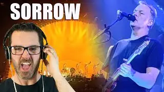 Pink Floyd REACTION ''Sorrow'' (Pulse Concert Performance 1994)