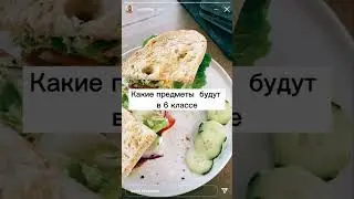какие предметы будут в 6 классе