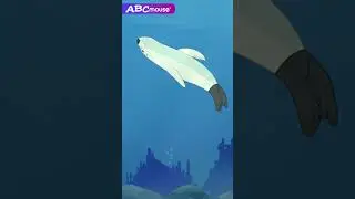 Underwater Animals | ABCmouse 