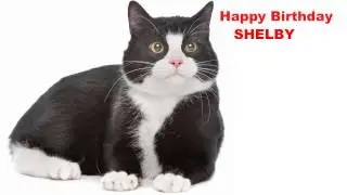 Shelby  Cats Gatos - Happy Birthday