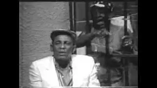 tiao macalé
