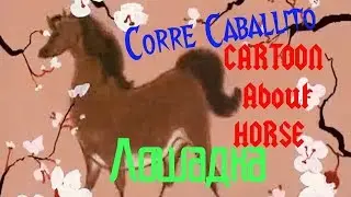 МУЛЬТИК ПРО ЛОШАДКУ.ЖИЗНЬ ЛОШАДИ ЗА 3 МИНУТЫ!МУЛЬТИК ЛОШАДЬ.CARTOON FOR KIDS HORSE.Corre Caballito