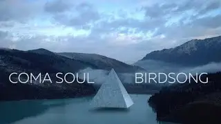 Coma Soul  - Birdsong (official)