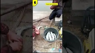Рыбалка #прорыбалку #fishing #рыбалкавидео #fish #форель #2024 #carpfishing