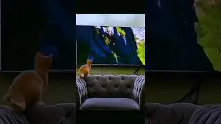 она слишком внимательна