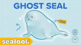 All of Ghost Seal #000 | Summer Special | SEALOOK Compilation