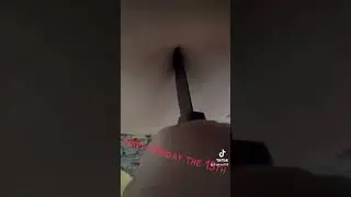 Friday the 13th