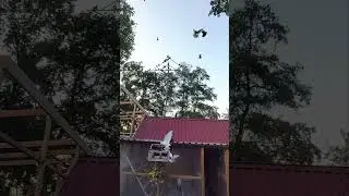 Игра гульбадама.