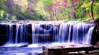 Heavy Rolling WATERFALL | A Nice scenery during a Calm day #waterfallsounds #asmr #naturelovers