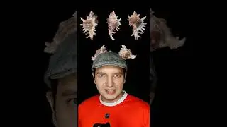 Почему в флагах разных стран мира нет фиолетового цвета? 