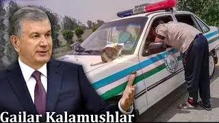 Президент Карорини Менсимаган ГАИлар 2019