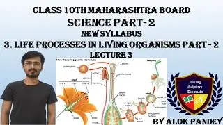 3. Life Processes  in Living Organisms Part 2 | Sexual Reproduction in Plants | RST | By Alok Pandey