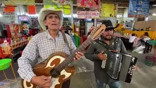 🎷🎷 SÚBELE TODO A LA MÚSICA PRIMO 🔥🔥 AL PURO GIS