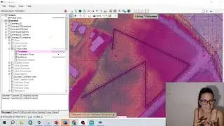 Point errors in the geometry HEC RAS 2D