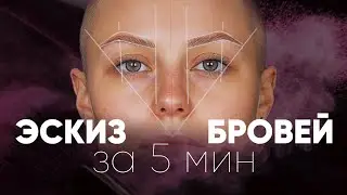 Пошаговая инструкция эскиза бровей. Как быстро и правильно построить форму